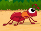 Hurry Up Ant! Unblocked