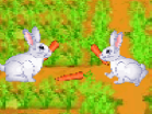 Playful Bunnies Unblocked